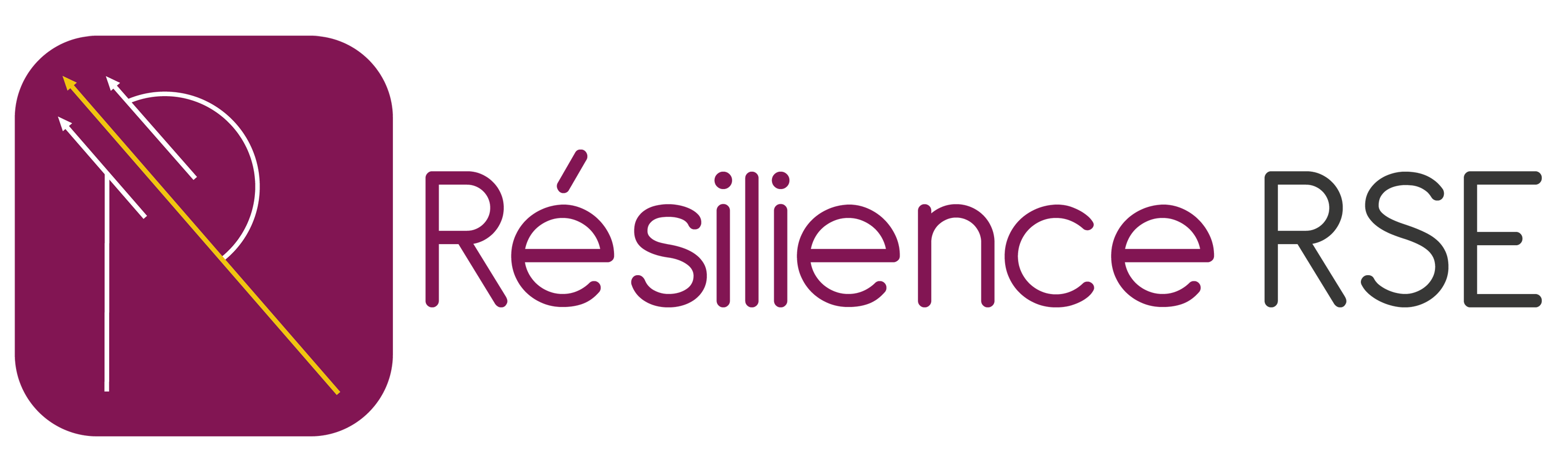 logo Resilience RSE Votre Agence RSE, Communication, Marketing et Evénement en RDC