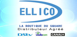 ellico sprl annuaire entreprise service rdc watch & act résilience rse